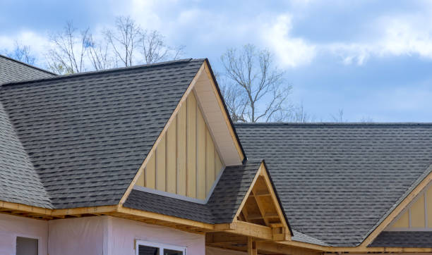 Best Skylight Installation and Repair  in Williamsport, PA
